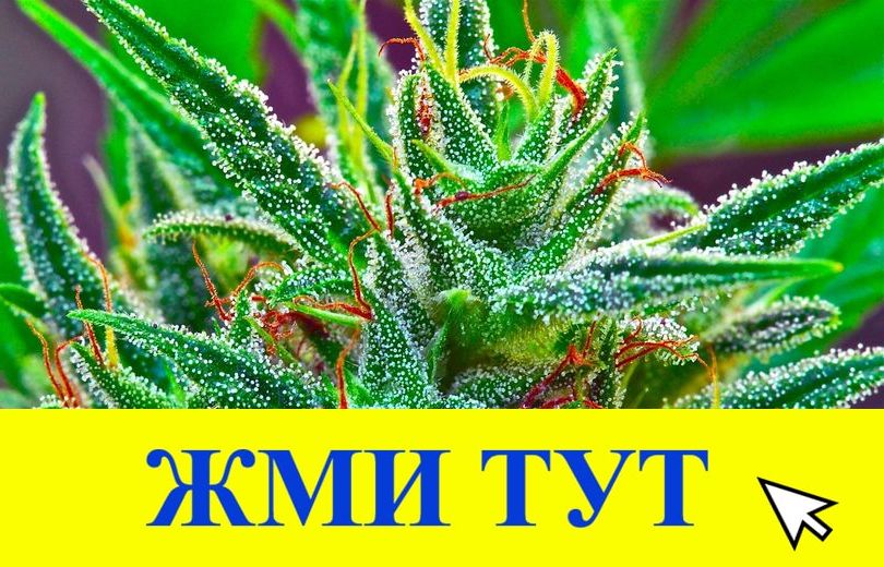 Купить наркотики в Мытищах